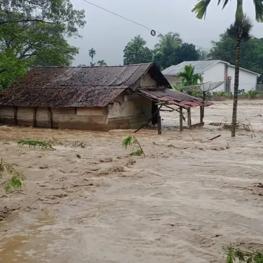 Alfira O'Sullivan and Murtala - After the Flood