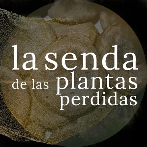 Las duras semillas de la amargura: Strychnos sp. {SPP 087}