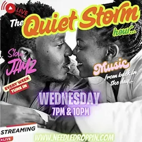 The Quiet Storm Hour www.needledroppin.com