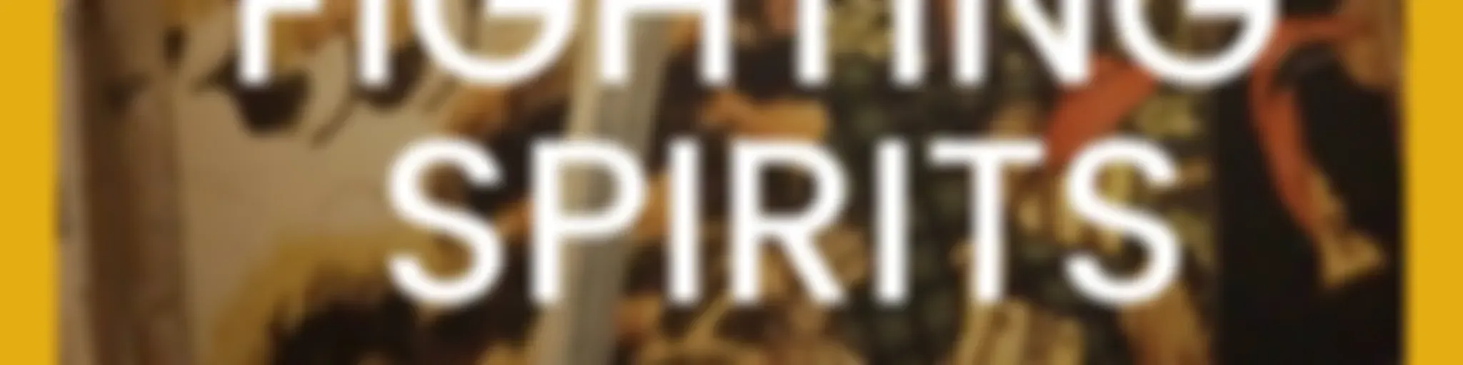 FIGHTING SPIRITS - A ZENKI DOJO PODCAST