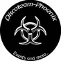 Discoteam-Phoenix Radio