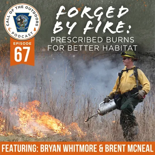 Ep. 67 | Forged by Fire: Prescribed Burns for Better Habitat