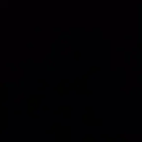 Samppluchoo