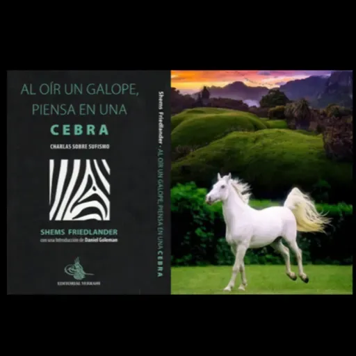 Cuento Sufí: "Bendición o Calamidad, sólo Dios sabe"