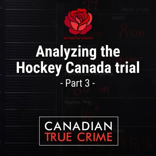 Analyzing the Hockey Canada trial [3]