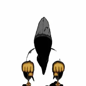 PLAVOOKA