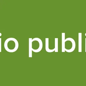 Radio publimar