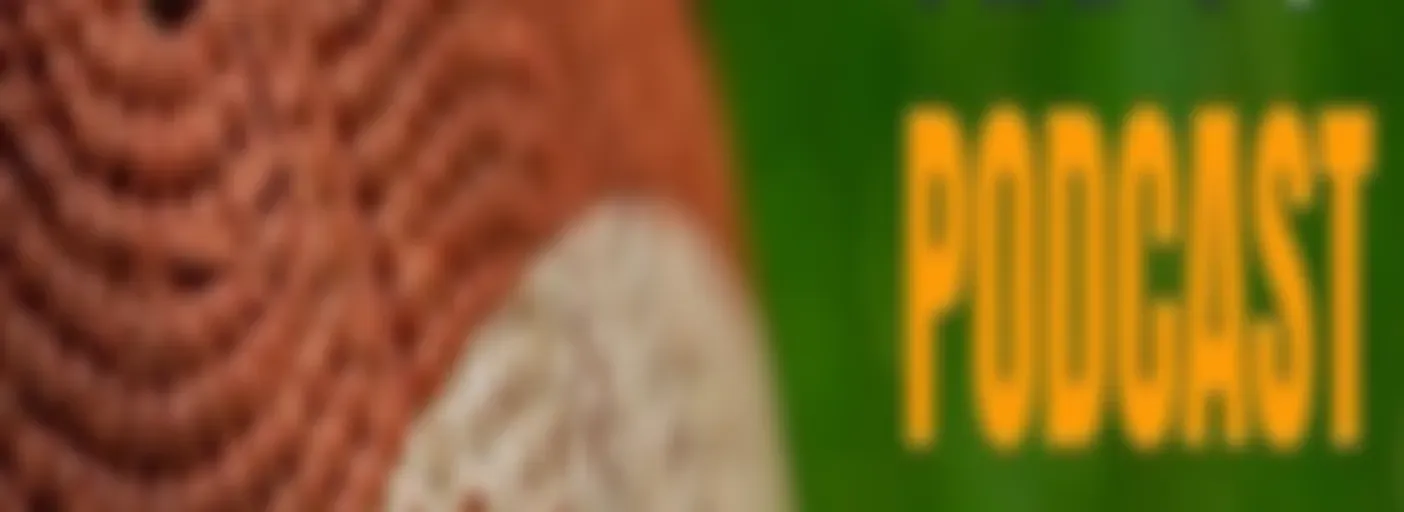 F3 Podcast (Football, Food & Fantasy)