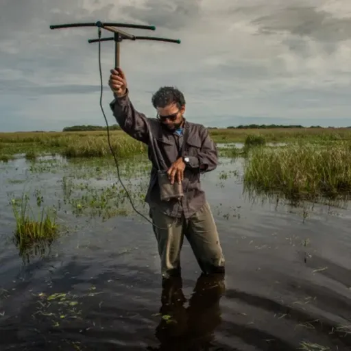 La tecnología como parte fundamental en la reintroducción de especies con Fundación Rewilding 