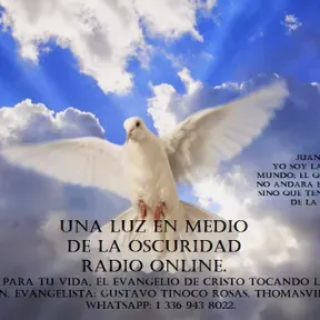 Una Luz en Medio de la Oscurida online