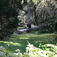 How a former politics columnist is finding awe