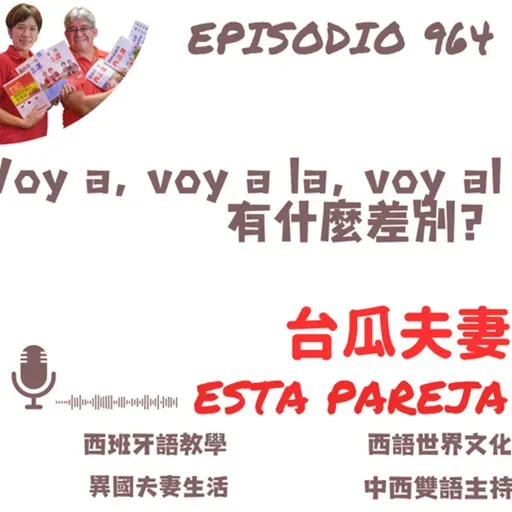 964. Voy a, voy a la, voy al 有什麼差別？