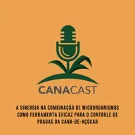 A SINERGIA NA COMBINAÇÃO DE MICRORGANISMOS COMO FERRAMENTA EFICAZ PARA O CONTROLE DE PRAGAS DA CANA-DE-AÇÚCAR