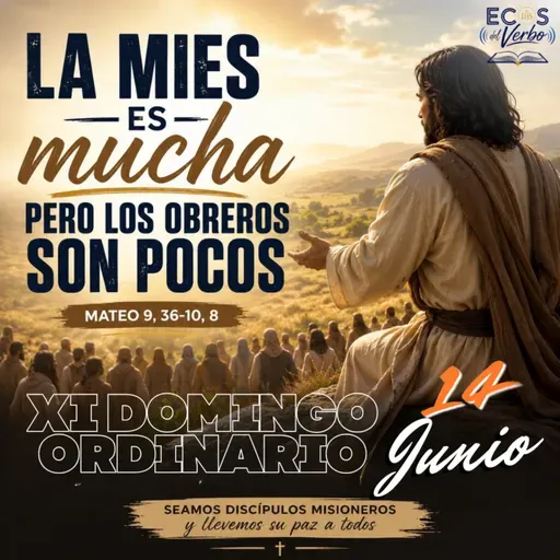 Domingo, 14 de junio 2026 || Mateo 9, 36-10, 8