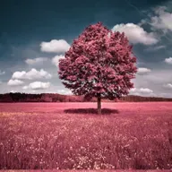 我怎样编辑农业报 美国 马克.吐温