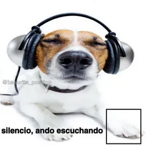 Capo pito