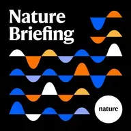 Briefing chat: How hovering bumblebees keep their cool