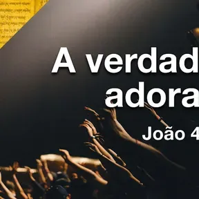 radio web