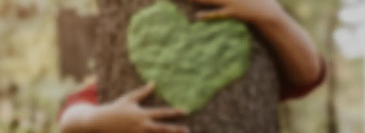 BBVA Futuro sostenible