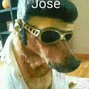m7mdy9
