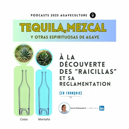 L'appellation d'origine Raicilla : leurs règles et leurs définitions.