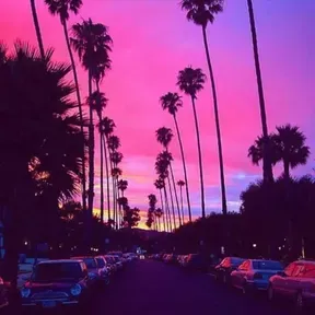 Chill MInd