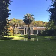 10.000 LUGARES - Los árboles que cuentan el mundo - 28/06/25