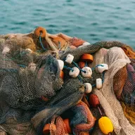 Meditación: Los milagros del Señor, una fe viva y operativa