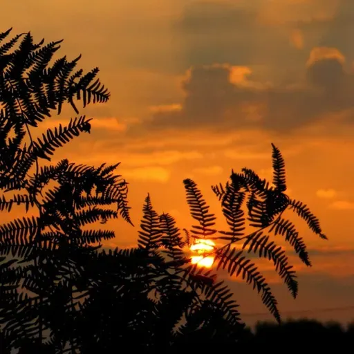 O EVANGELHO COMO ROTEIRO PARA A FAMÍLIA