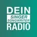 Radio RSG - Dein Singer/Songwriter