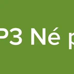 MP3 Né pai