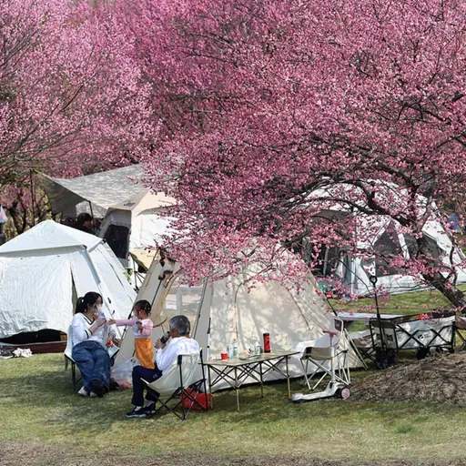 China's economic expansion to boost employment, well-being, AI industry