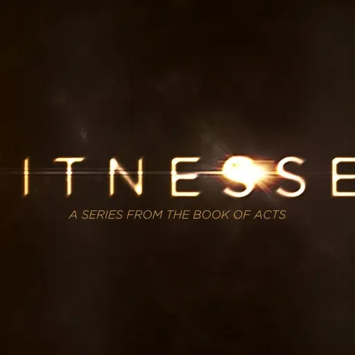 Witnesses: Babel Undone