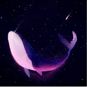 Whale Radio