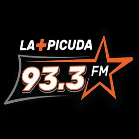 La Mas Picuda 91.3 FM - XHTY