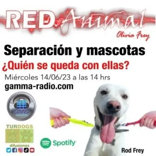 RED ANIMAL CON OLIVIA FREY/ SEPARACIÓN Y LAS MASCOTAS