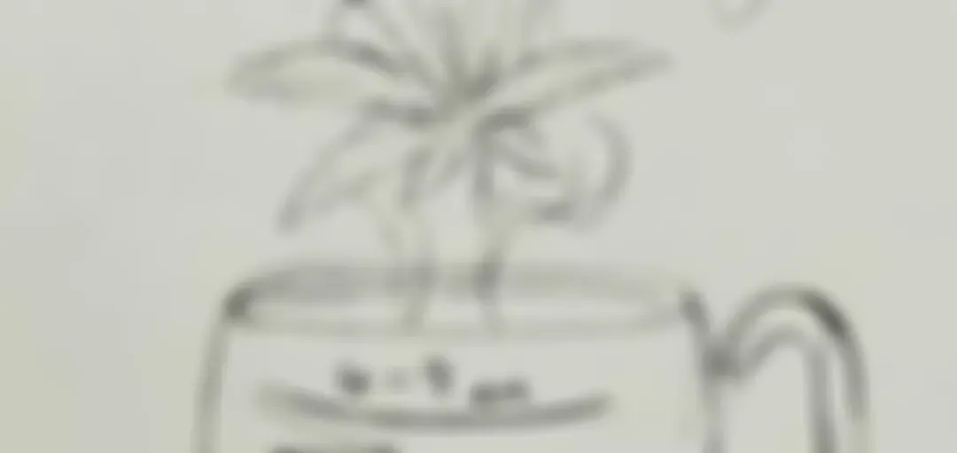 Wednesday Wake N' Bake Morning show