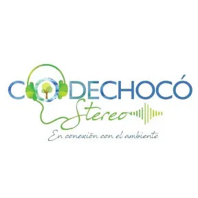 Codechoco Stereo