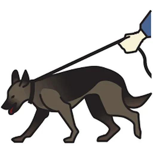 The hidden working lives of Prison Dogs