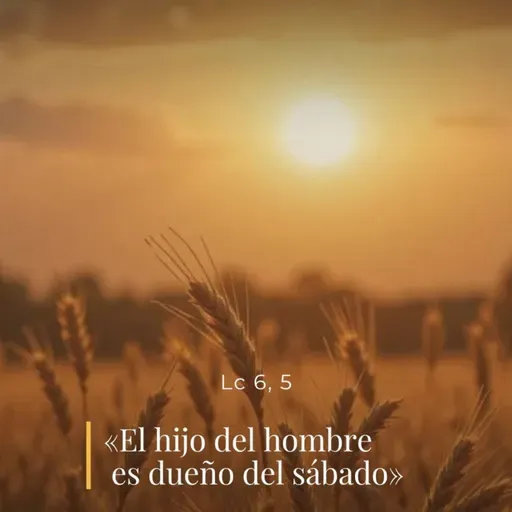 Lucas 6, 1-5 - XXII Sábado del Tiempo Ordinario