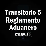 Transitorio 5 Reglamento de la ley aduanera México