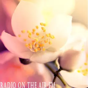 RADIO ON THE AIR FM