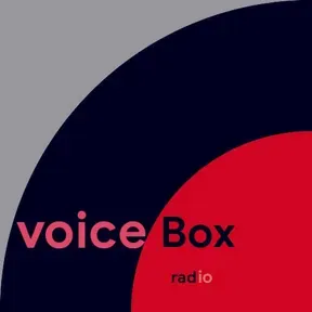 Voice Box radio