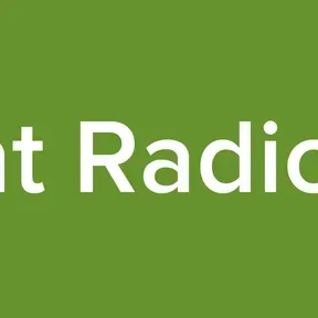 Int Radios