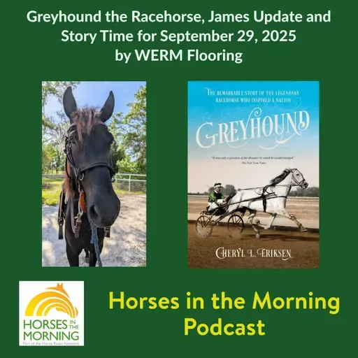 Greyhound the Racehorse, James Update and Story Time for September 29, 2025 by WERM Flooring