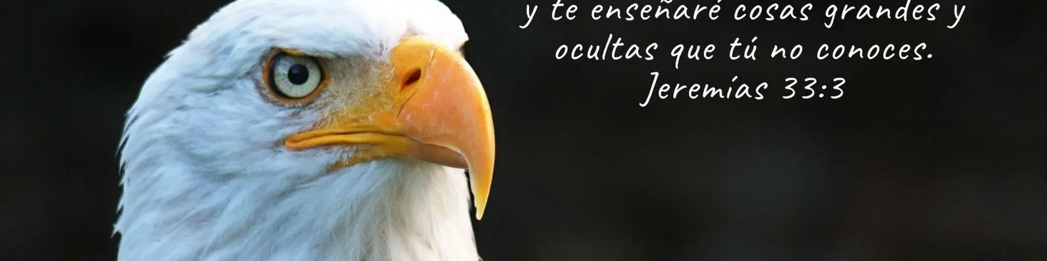 Tendencia Espiritual