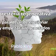 Agroforestería regenerativa: La guía para dejar de erosionar suelos y empezar a regenerarlos