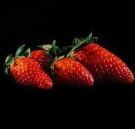 Cour de justice des Communautés européennes – Arrêt Commission c/ France (1997)