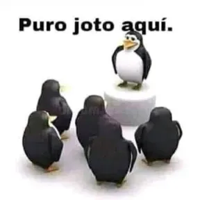 Las Favelas
