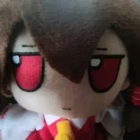 Kornlive